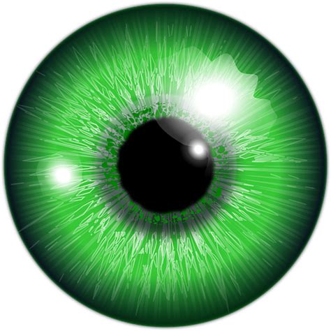 eyeballs eye images pixabay