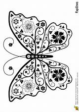 Butterfly Coloring Papillon Coloriage Fleur Pages Målarböcker Un Template Embroidery Painting Butterflies Färgläggningssidor Patterns Adult Choisir Tableau Il Dessin Et sketch template