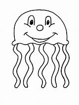 Jellyfish Medusa Qualle Animales Desenhos Colorir Quallen Medusas Malvorlagen Pintarcolorir Ausdrucken Malvorlage Kb sketch template