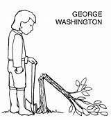 Washington Tree George Cherry Coloring Clip State Clipground Library Popular sketch template