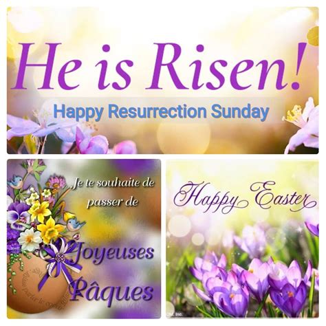 happy resurrection sunday gif quotes  naija news olofofo