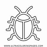 Ultracoloringpages Roach sketch template