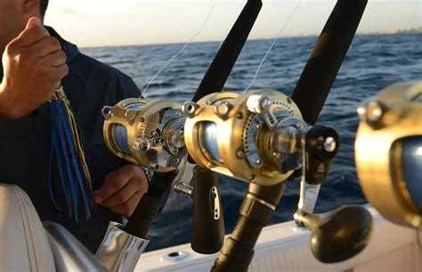 saltwater spinning reels    experts