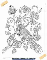 Vogel Colorear Donner Ailes Marica Difficile Perroquet Chispis Thérapie Adulte Coloriages Prosite sketch template