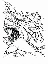 Shark Jaws Coloring Pages Jaw Getdrawings Drawing sketch template