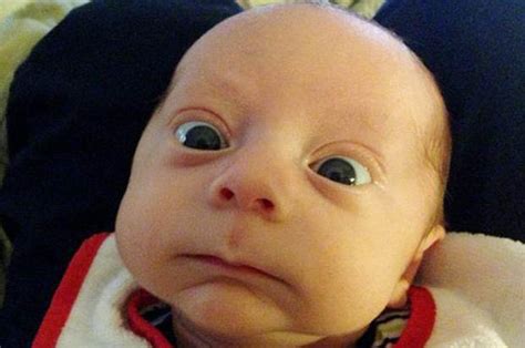 hilarious   babies faces   fill  nappies