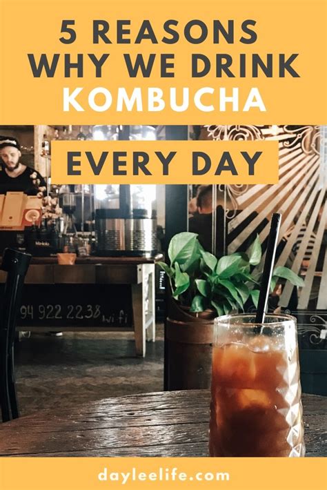 5 reasons why we drink kombucha every day daylee life