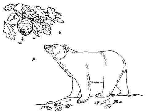black bear coloring page  printable coloring pages