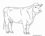 Cow Hereford Line Deviantart sketch template