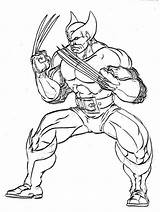 Wolverine Pintar Colorindo Herois Heróis Pasta sketch template