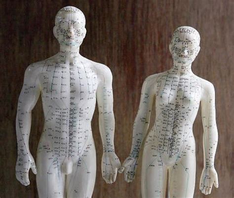 tong ren therapy tong ren acupuncture models healing