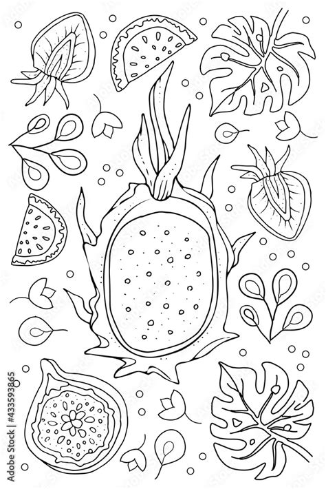 hand drawn coloring page  kids  adults summer tropical fruits