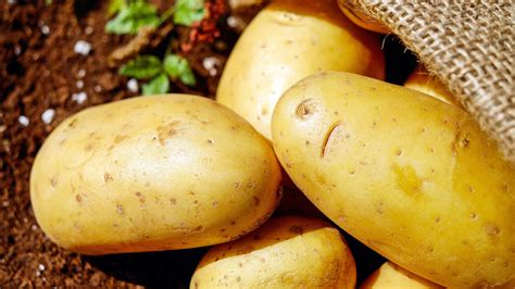 tipi  patate quanti ne esistono   utilizzarli dissapore