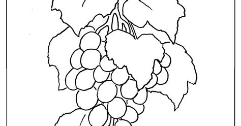 coloring pages  kids   adron grapes coloring page  kids