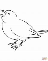 Coloring Sparrow Printable Pages Clipart Bird Categories sketch template