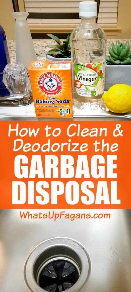 conquer  smelly garbage disposal   kitchen garbage