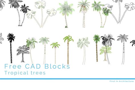 cad blocks tropical trees