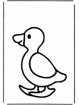 Duck Coloring Baby Ente Pages Funnycoloring Popular Animals Birds Advertisement sketch template