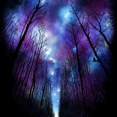 space forest photo