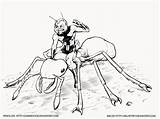 Ant Inks Guinnessyde Antman Riding Xcolorings sketch template