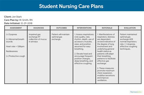 nursing care plan template word  template ideas