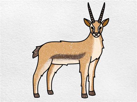 draw  gazelle helloartsy