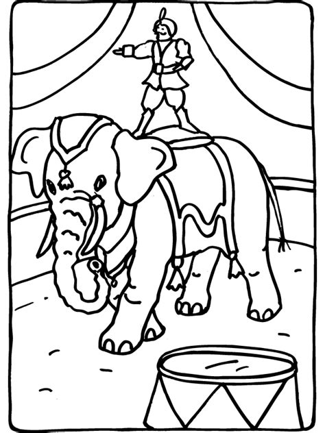 kleurplaat olifant  het circus kleurplatennl