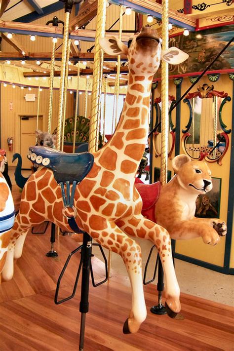 national carousel association binder park zoo carousel carousel