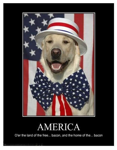 happy and funny 4th of july memes that every american can laugh
