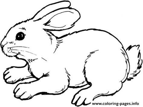 print coloring pages  kids rabbit animalbb coloring pages bunny