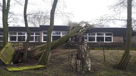 storm houdt ook  oisterwijk huis van kikkenduut tot meubelfabriek foto bdnl