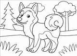Husky Coloring Adorable Pages Printable Kids sketch template