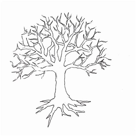 tree  branches coloring page page  kids  coloring home