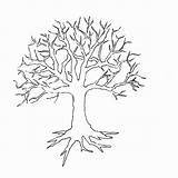 Branches sketch template