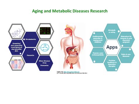 aging related disease research institute  cellular  system medicine