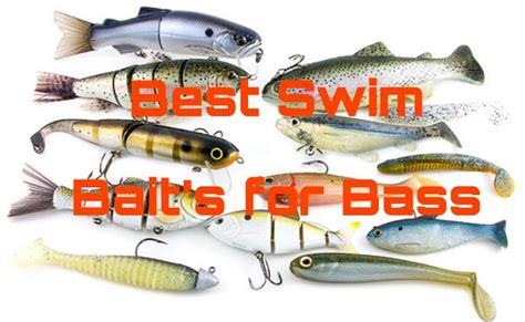 Best Swim Baits For Bass Hookdonbassin