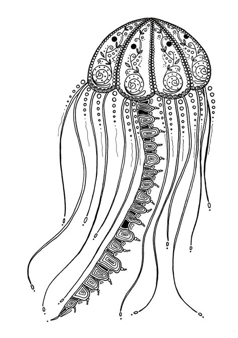 delicate jellyfish adult coloring page favecraftscom