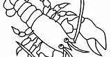 Animal Lobster Coloring sketch template