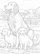 Coloring Chien Pages Animal Et Chiots Dog Se sketch template