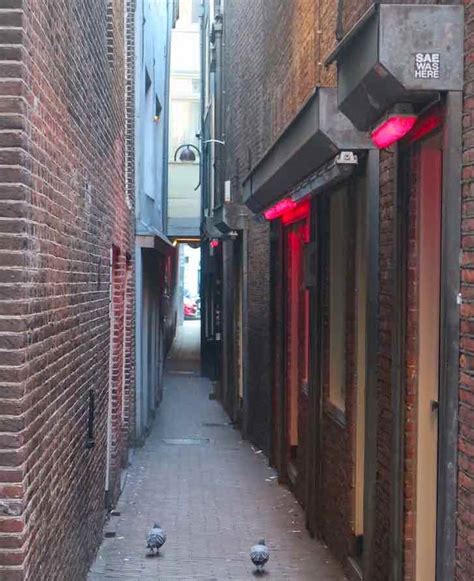 Amsterdam Red Light District Questions And Answers