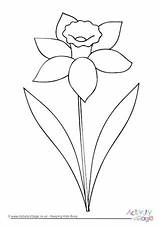 Daffodil Colouring Outline Drawing Clip Pages Flower Color Spring Welsh Coloring Flowers Easy Kids Simple Drawings Clipart Activityvillage Patterns Children sketch template