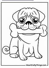 Pug Iheartcraftythings Watchful Vigilant Attempts Posture Always sketch template