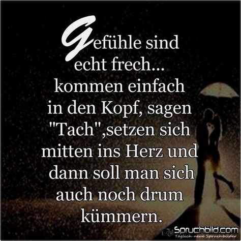 zitate gefuhle quotes of the day
