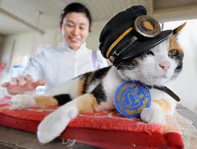 Tama The Station Cat Helped Save Part Of Japan S Dying Rural Railways