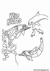 Wild Kratts Coloring Pages Underwater Printable Expedition Park Water Color Drawing Print Kids Book Getdrawings Books Parentune sketch template