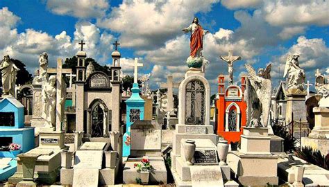 Bee Attack Shuts Down Cemetery On Mother S Day — Yucatán