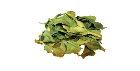 kafir lime leaves the spiceworks hereford herbs and spices