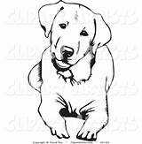 Labrador Dog Retriever Golden Clipart Drawing Coloring Pages Chocolate Down Svg Lab Cute Outline Drawings Vector Puppy Silhouette Tattoo Clip sketch template