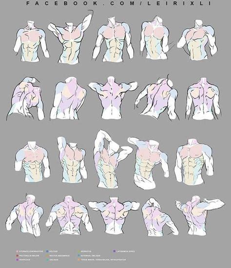 drawing body tutorial male torso ideas bocetos de personajes