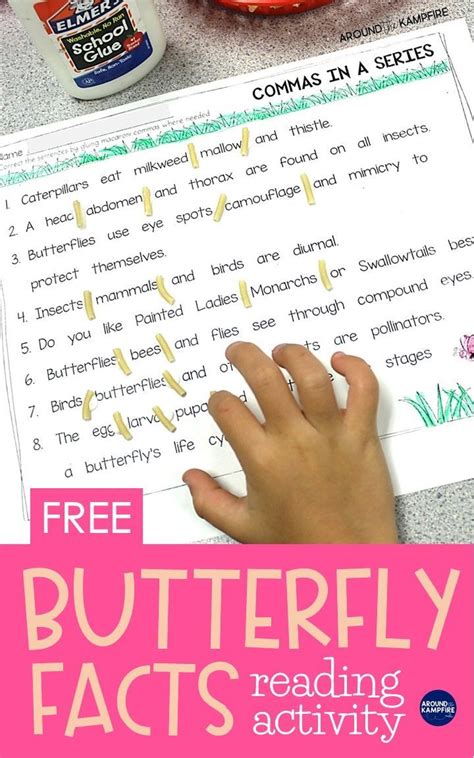 butterfly life cycle activities  printables commas   series